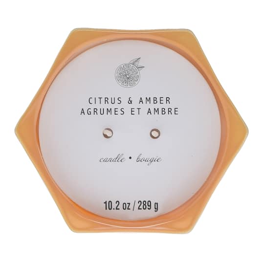 Citrus &#x26; Amber 2-Wick Jar Candle by Ashland&#xAE;